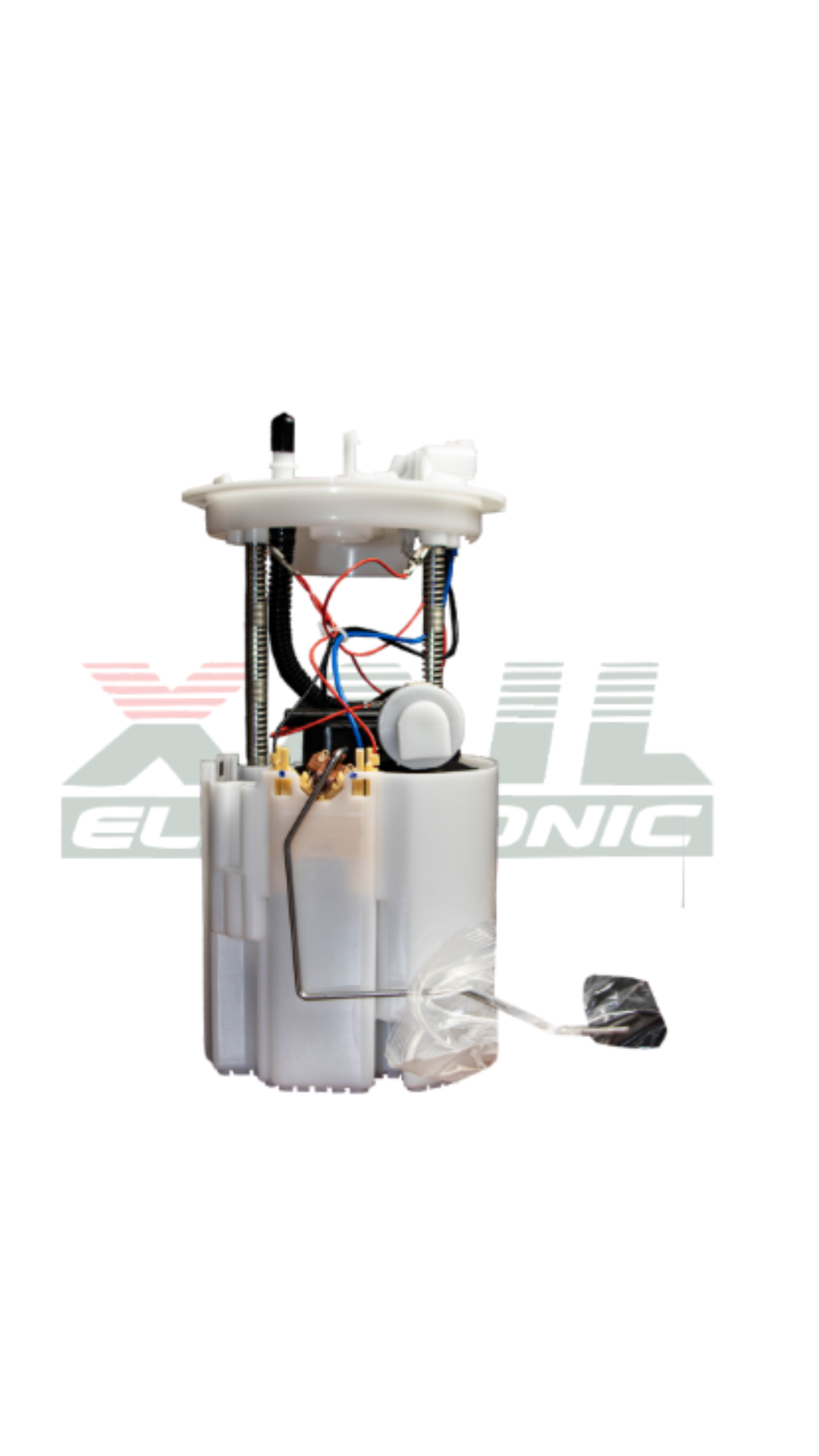 TAP-31122 - 2024-08-28T094845.915