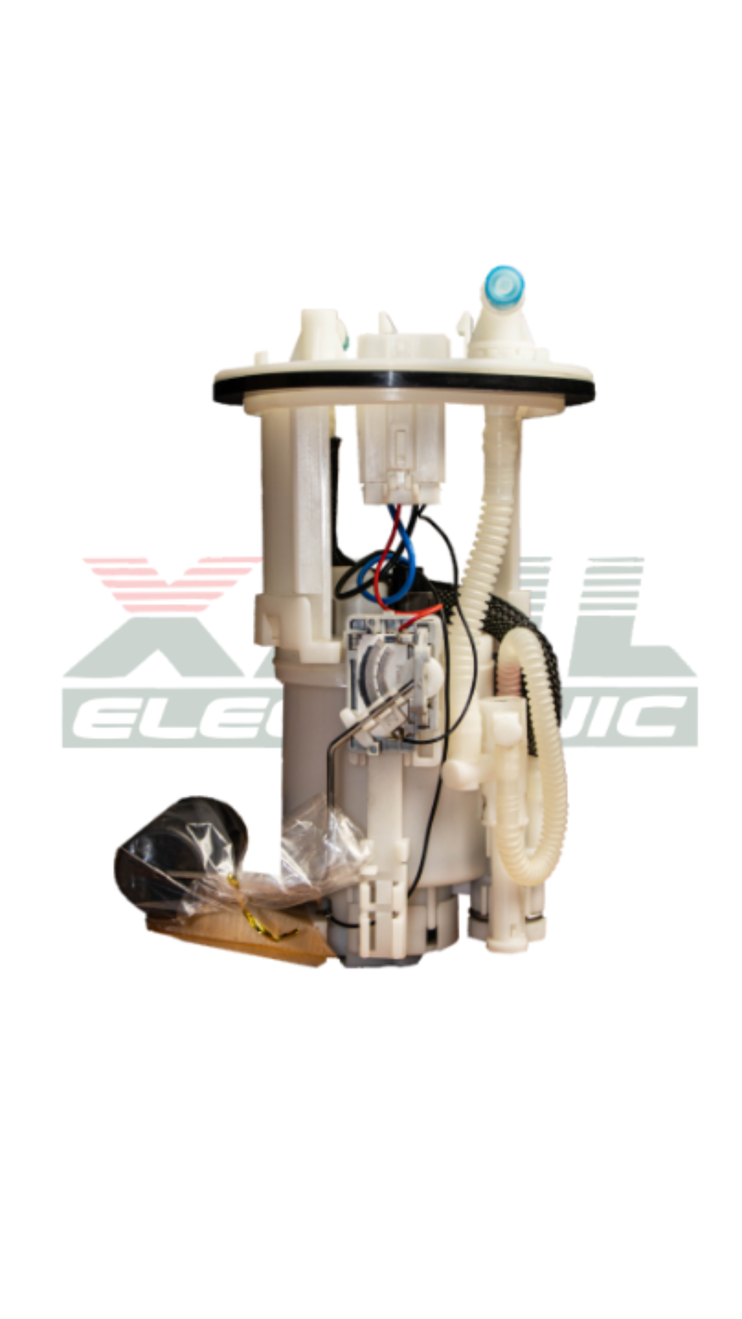 TAP-31122 - 2024-08-28T103751.158