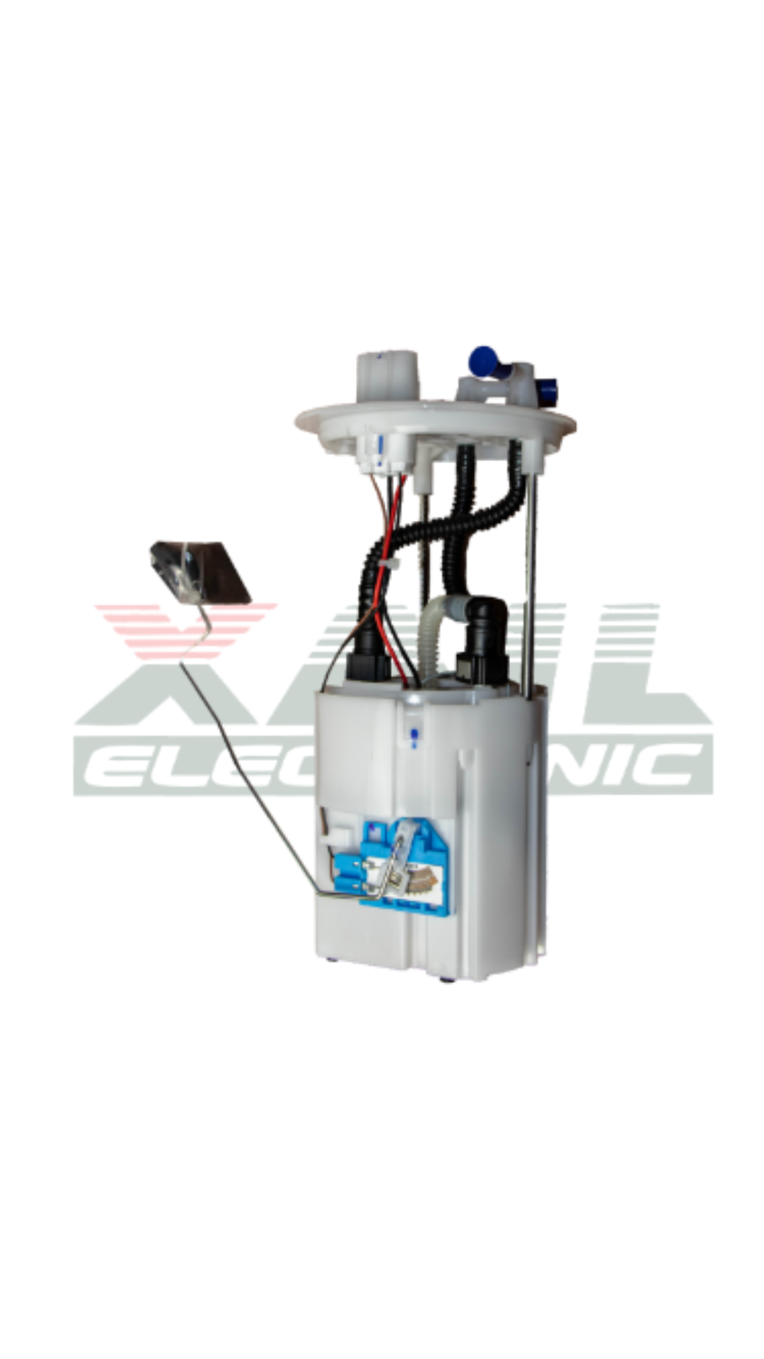 TAP-31122 - 2024-08-28T110532.332